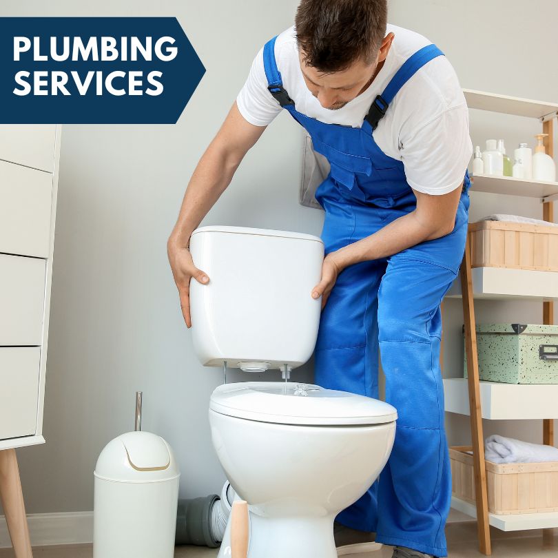 Plumbing Company in Schaumburg, IL